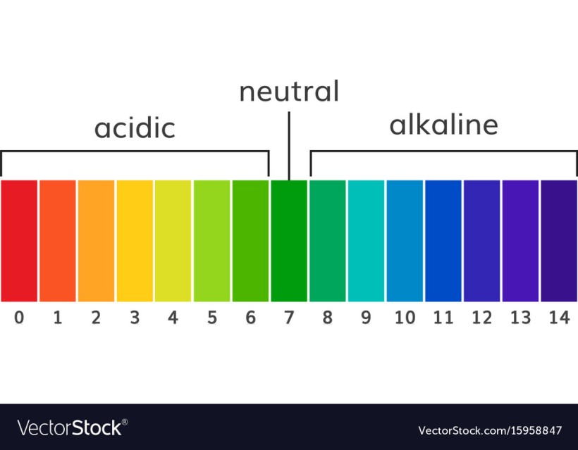 chart-ph-alkaline-and-acidic-scale-vector-15958847